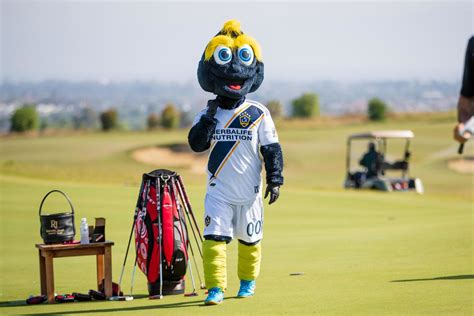 La Galaxy Golf Tournament Raises More Than 215000 For La Galaxy