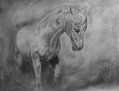 Horse Drawing By Ed Mestyanek Horse Drawing Custom Art Elm Lion