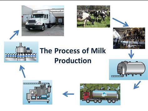 The Process Of Milk Production Ppt Video Online Download