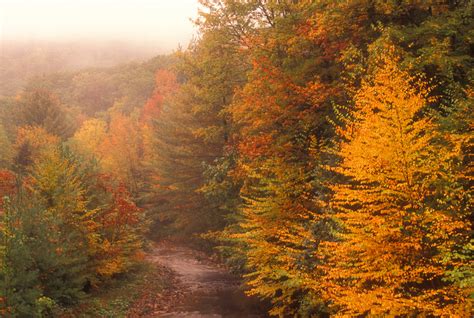 John Burk Photography Fall Foliage Viewing In Western Massachusetts
