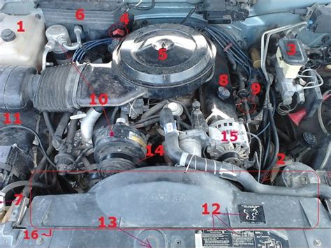 Parts Under The Hood Of A Car