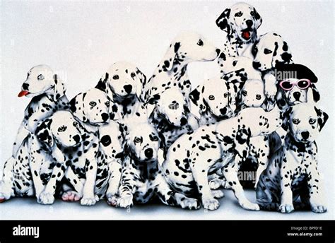 101 Dalmatians 15 Puppies