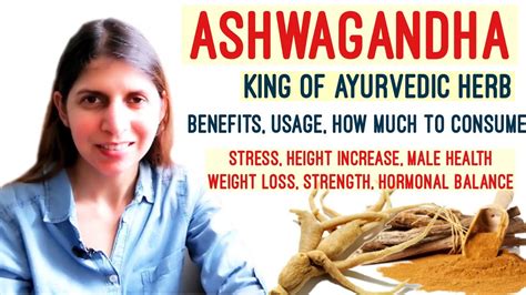 Ashwagandha King Herb Health Benefits Usage When And How To Consume