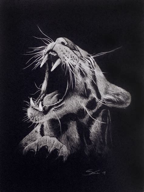 261 Best Black Paper And White Charcoal Images On Pinterest