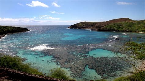Hanauma Bay Nature Preserve Honolulu Hawaii Attraction Au