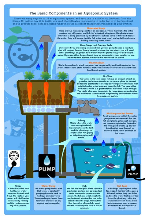 I left the tank unaltered but replaced the conventional water filter with the growing bed and medium. Aquaponics layout plan Diy ~ Best Ponic
