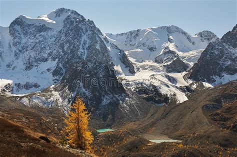 Bright Colorful Yellow Autumn Mountain Lake Russia Siberia Altai