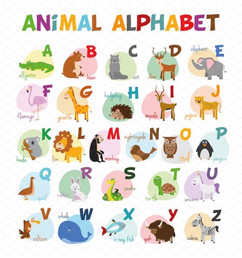 English Animal Alphabet Vector Photoshop Graphics Creative Market