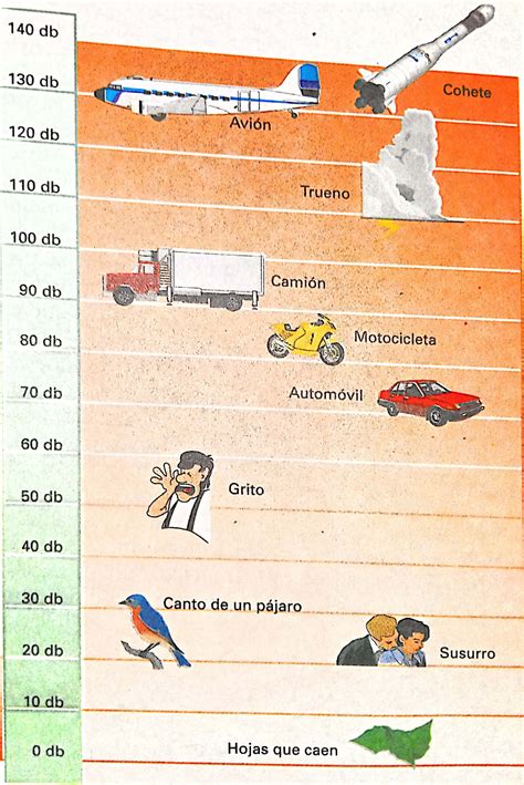 Las Cualidades Del Sonido Intensidad Tono Y Timbre