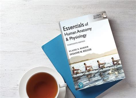 Essentials Of Human Anatomy And Physiology 13th Edition Aspire2