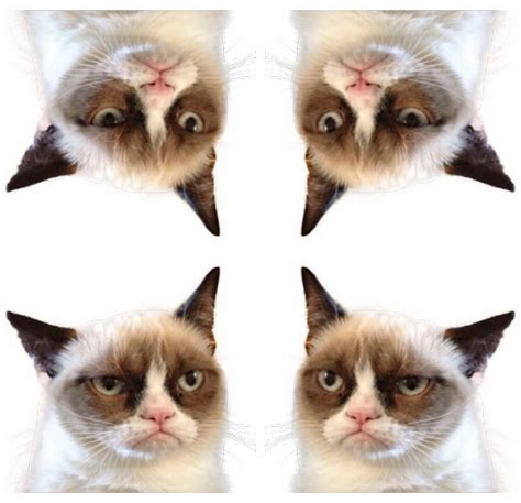 Grumpy Cat Meme Png Pic Png Arts