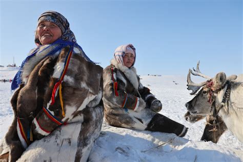 Russias Arctic Reindeer Herders Gather For Annual Festival The
