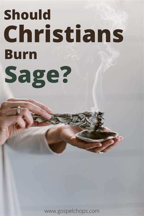 You should always exercise caution when using essential oils around cats. Burning Sage In The Bible : Amazon Com 3 White Sage Smudge ...