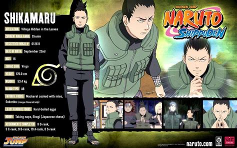 Ficha De Los Personajes De Naruto Shippuden Naruamino Amino