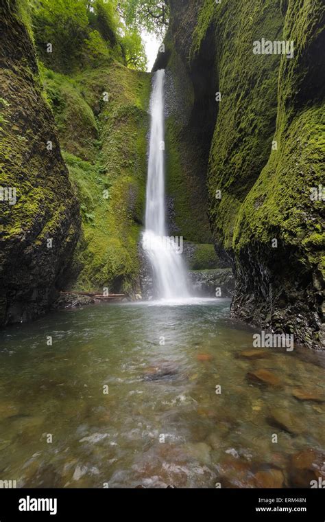 Lower Oneonta Falls At Columbia River Gorge National Scenic Forest In