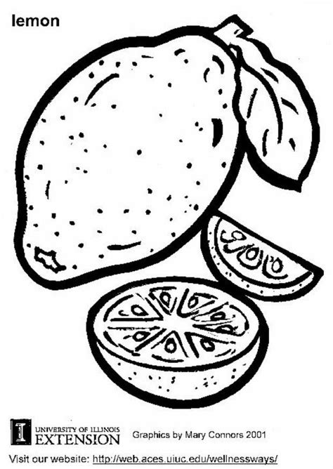 Download and print these free coloring sheets for preschoolers coloring pages for free. Lemon coloring pages download and print for free