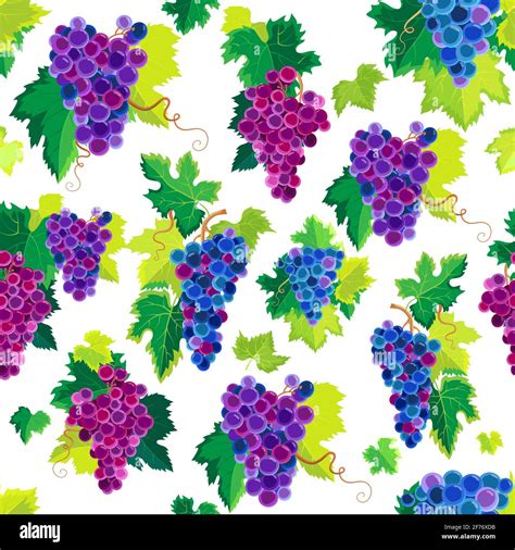 Grape Vine Seamless Pattern And Leaves On White Background Vector
