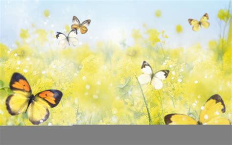 Spring Theme Wallpaper 53 Images