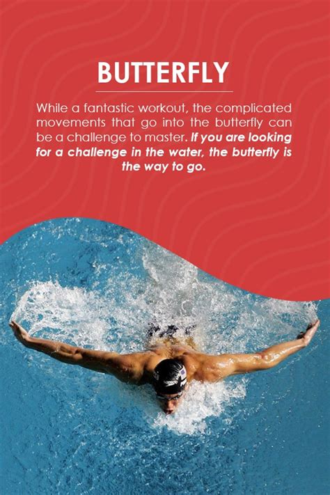 How To Do The Butterfly Stroke A Guide For Beginners Metro Swim