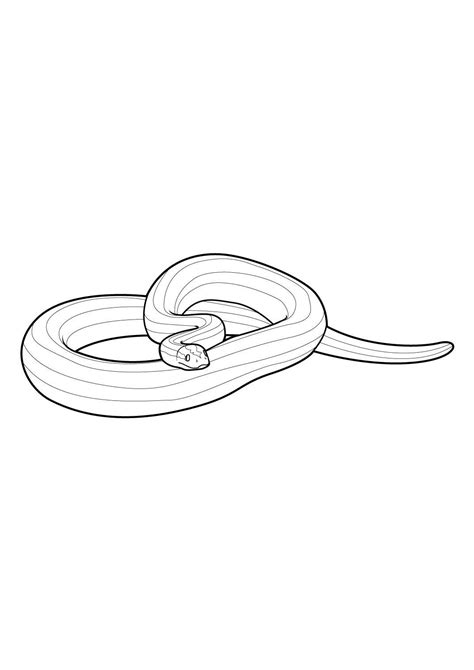 Serpent 5 Coloriages Animaux Serpents