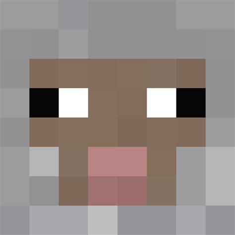 Derp Minecraft Skins