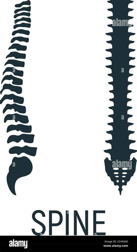 Spine Backbone Bone X Ray Concept Icon Roentgen Human Body Image