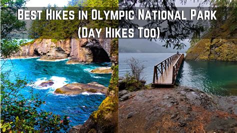 16 Best Hikes In Olympic National Park You Have To Go To