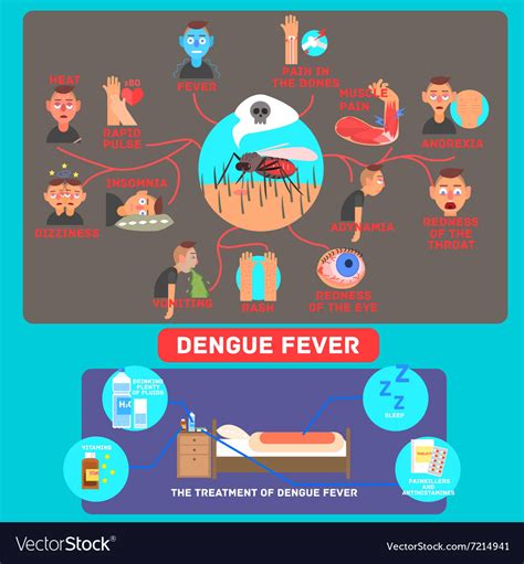 Dengue Fever Infographic