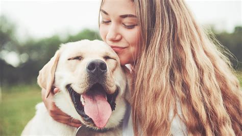 Decoding Dog Barking: Understanding Canine Communication