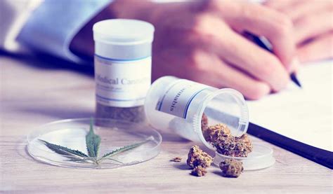 The Legalisation Of Medicinal Cannabis In Australia Where Are We Now