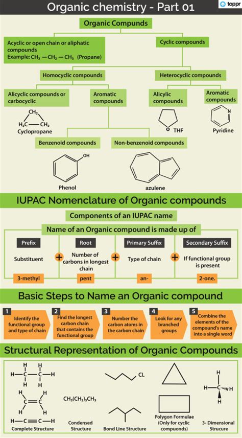 What Are The 4 Major Organic Compounds And Their Functions Explained