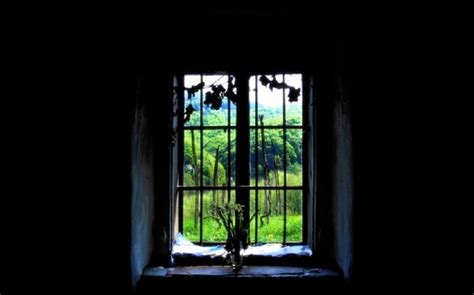 The Window Flowers Window Dried Landscape Hd Wallpaper Peakpx