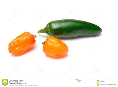 Habanero plant spots developing on new growth and leaves dropping. Habanero And Jalapeno Chilies Stock Image - Image of ...