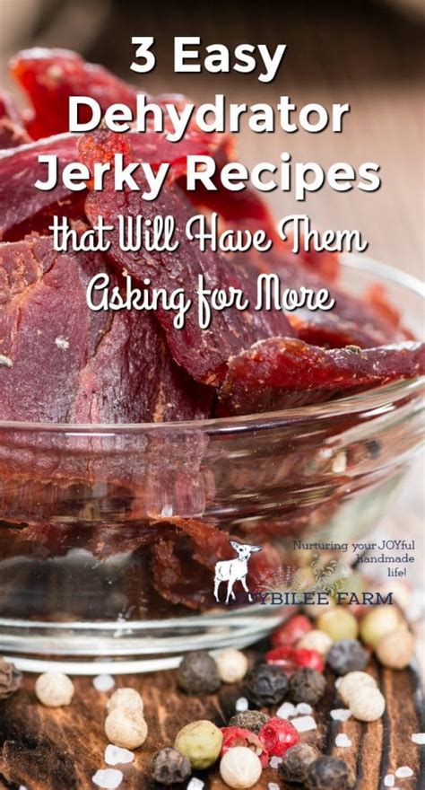 How to make great tasting beef jerky using ground beef. 3 Easy Dehydrator Jerky Recipes for Summer Hikes and Car Trips