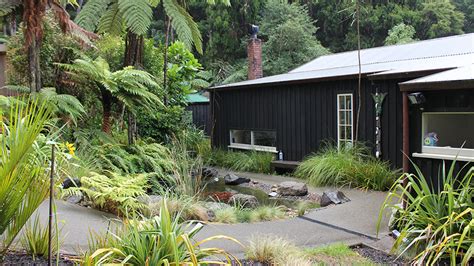 Agents were selected after host range testing of 40 selected native and exotic plant species. Paul Thompson Gardens | New Zealand native