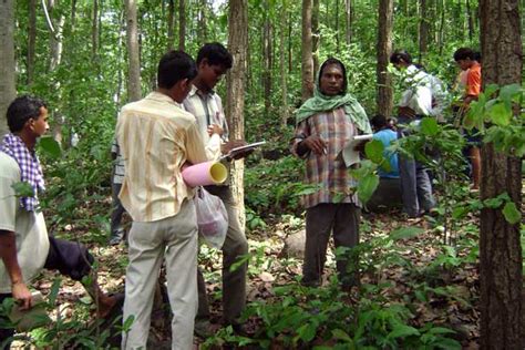 What Is Forest Rights Act