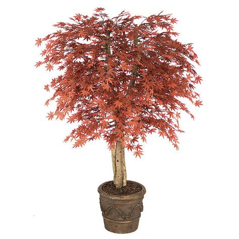 While far shorter than its western cousins, the japanese maple has the distinction of being a truly revered tree, and is often the centerpiece of any garden it finds itself in. Faux Outdoor Plants for Fall