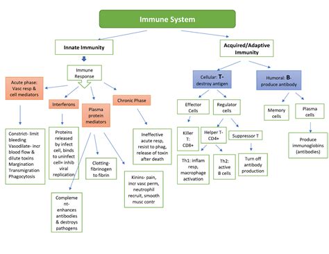 Patho Ch 2 Immunity Concept Map Immune System Innate Immunity