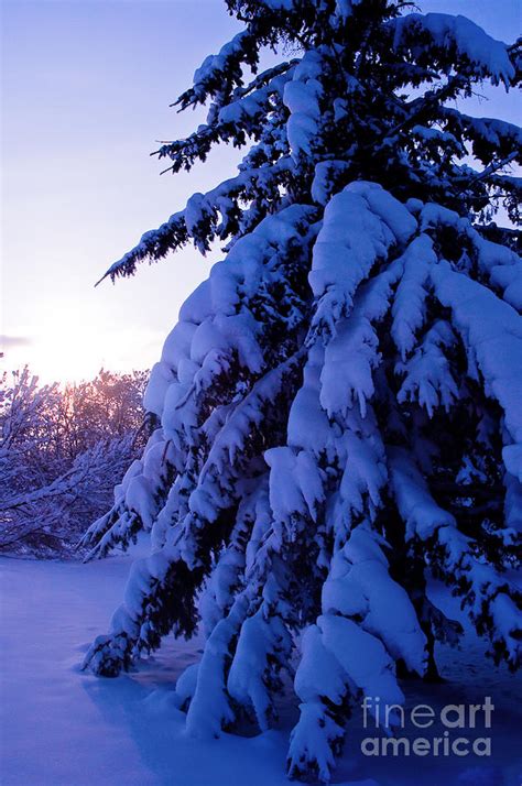 Winter Scenic 5 Photograph By Terry Elniski Fine Art America
