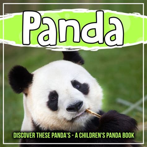Panda Discover These Pandas A Childrens Panda Book By Bold Kids