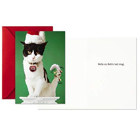 Hallmark Shoebox Funny Boxed Christmas Cards Cat With Jingle Bells 16