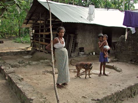 Eine Geschichte über Adoptionen und Zusammenführungen aus Sri Lanka Singharaja Garden AGRO