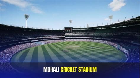 India Vs Afghanistan 1st T20 Match Punjab Cricket Association Is