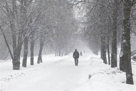 How to Prepare for a Blizzard | SafeBee