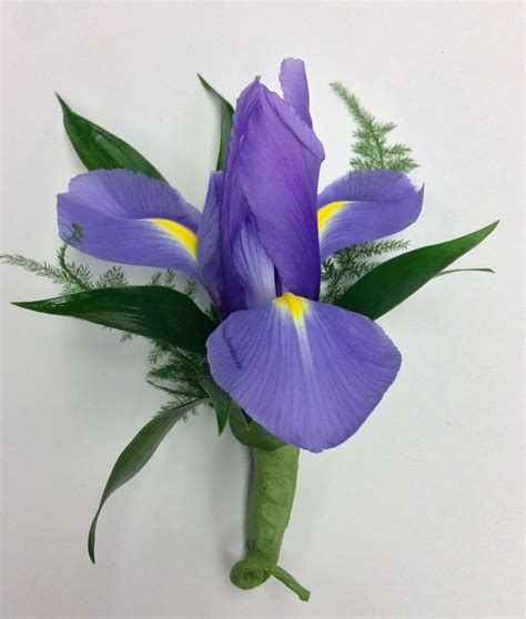 Fresh Iris Boutonniere Centerville Florists