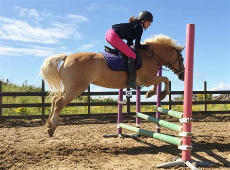 Horse Riding Lessons Learn To Ride Donegal Equestrian Centre