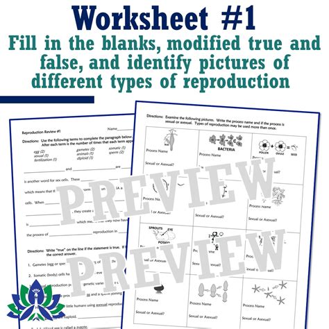 Set Of 3 Sexual And Asexual Reproduction Worksheets Flying Colors Science