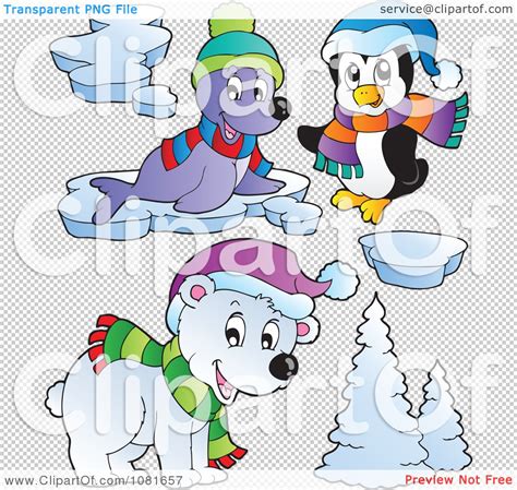 Clipart Seal Polar Bear And Penguin Royalty Free Vector Illustration By Visekart