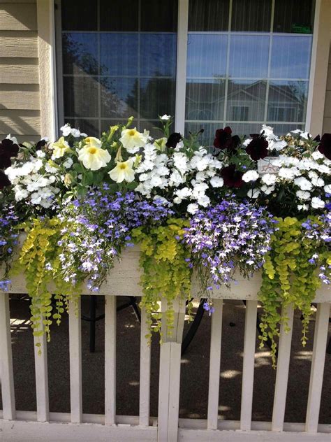 Which Plants Put In A Suspension Front Porch Flowers Porch Flowers