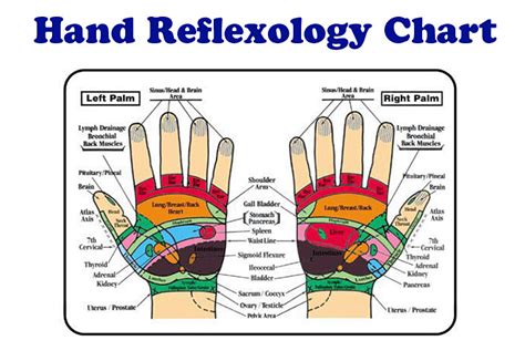 Reflexology Massage Services Tampa Fl Reflexology Masseuse Wesley C